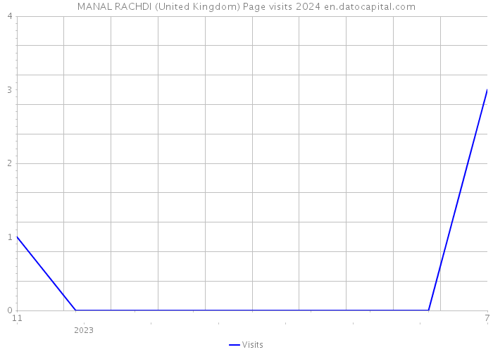 MANAL RACHDI (United Kingdom) Page visits 2024 