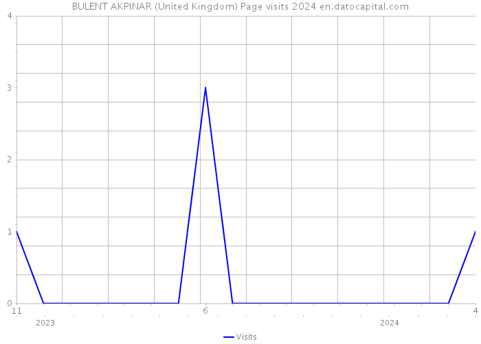 BULENT AKPINAR (United Kingdom) Page visits 2024 