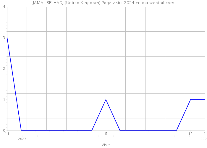 JAMAL BELHADJ (United Kingdom) Page visits 2024 
