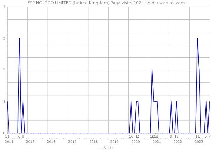 FSP HOLDCO LIMITED (United Kingdom) Page visits 2024 