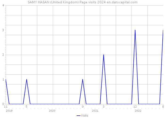 SAMY HASAN (United Kingdom) Page visits 2024 