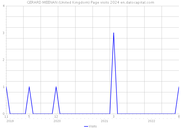 GERARD MEENAN (United Kingdom) Page visits 2024 