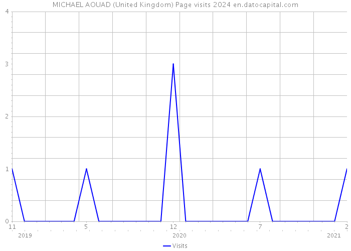 MICHAEL AOUAD (United Kingdom) Page visits 2024 