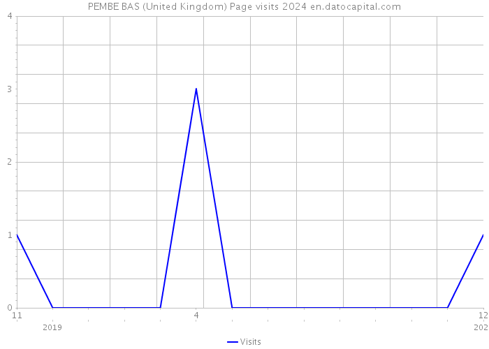 PEMBE BAS (United Kingdom) Page visits 2024 