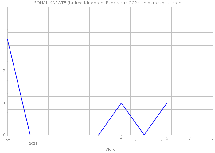 SONAL KAPOTE (United Kingdom) Page visits 2024 