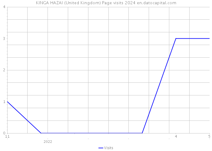 KINGA HAZAI (United Kingdom) Page visits 2024 