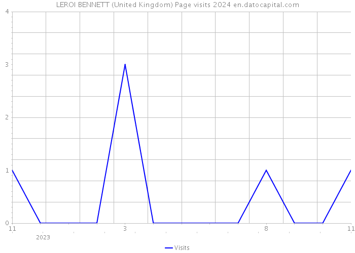 LEROI BENNETT (United Kingdom) Page visits 2024 