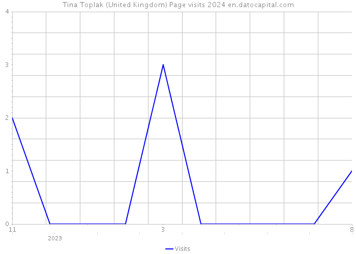 Tina Toplak (United Kingdom) Page visits 2024 