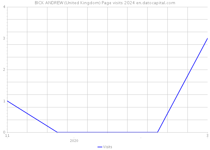 BICK ANDREW (United Kingdom) Page visits 2024 