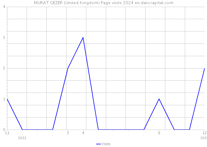 MURAT GEZER (United Kingdom) Page visits 2024 
