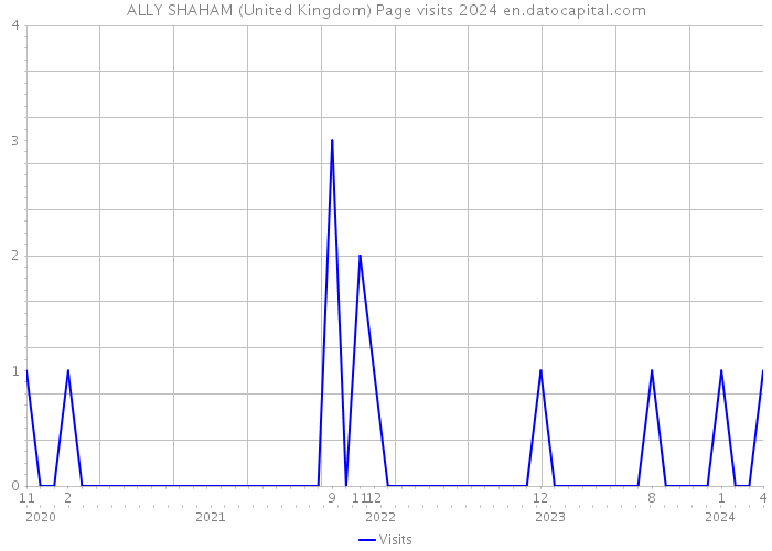 ALLY SHAHAM (United Kingdom) Page visits 2024 