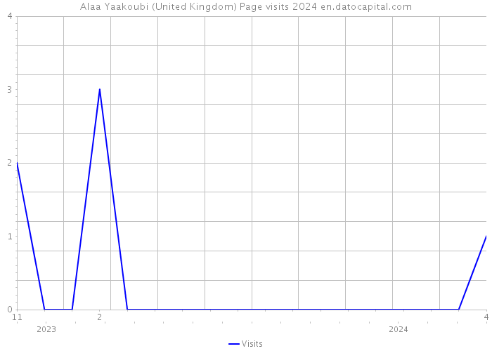 Alaa Yaakoubi (United Kingdom) Page visits 2024 