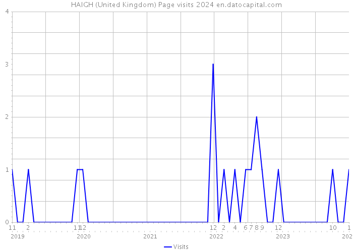 HAIGH (United Kingdom) Page visits 2024 
