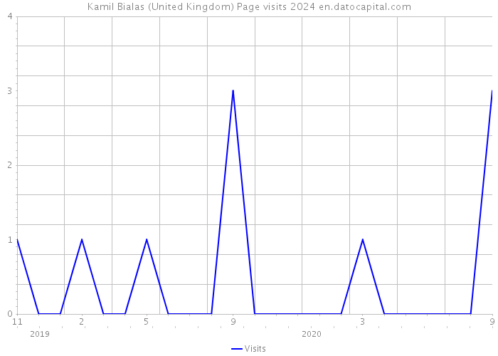 Kamil Bialas (United Kingdom) Page visits 2024 