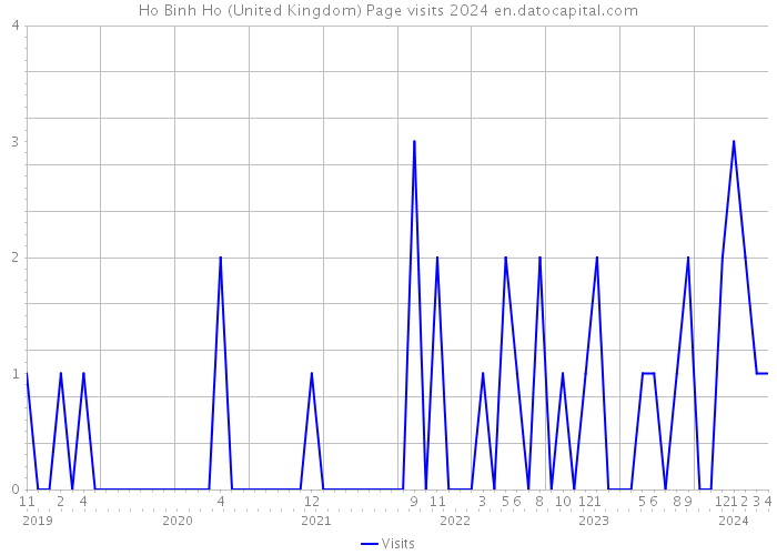 Ho Binh Ho (United Kingdom) Page visits 2024 