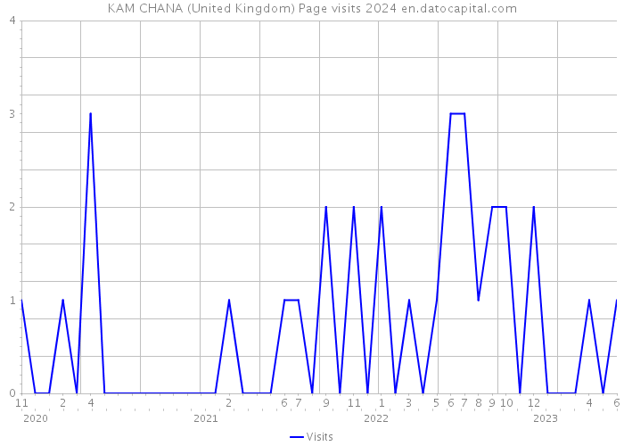 KAM CHANA (United Kingdom) Page visits 2024 
