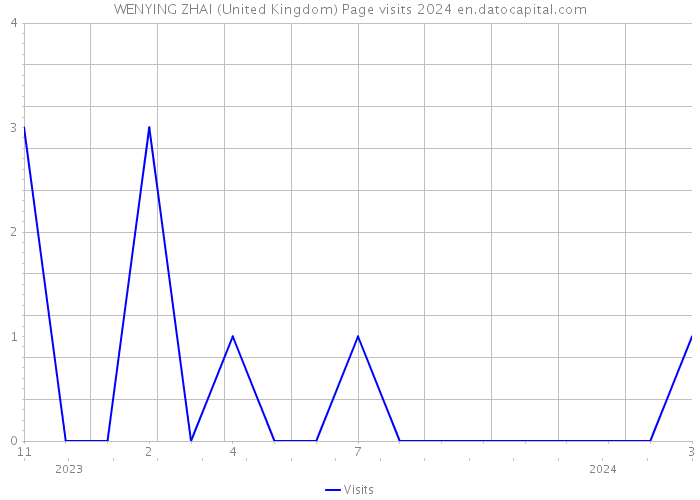 WENYING ZHAI (United Kingdom) Page visits 2024 
