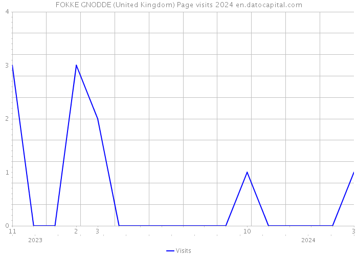 FOKKE GNODDE (United Kingdom) Page visits 2024 