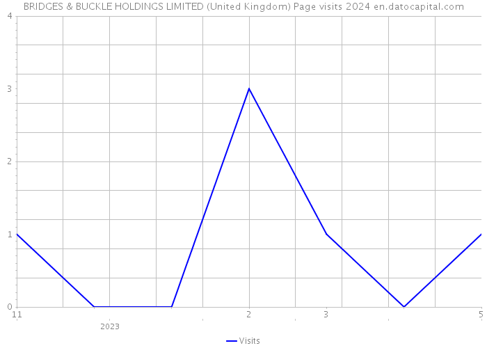 BRIDGES & BUCKLE HOLDINGS LIMITED (United Kingdom) Page visits 2024 