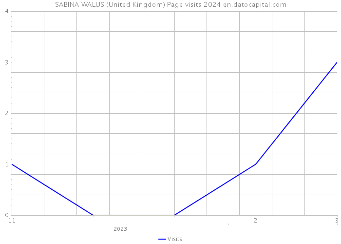 SABINA WALUS (United Kingdom) Page visits 2024 