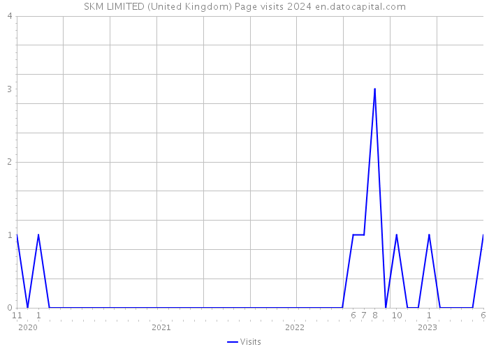 SKM LIMITED (United Kingdom) Page visits 2024 