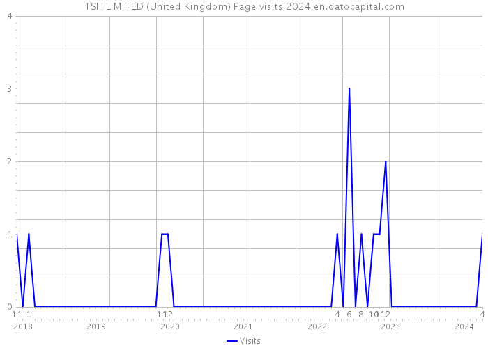 TSH LIMITED (United Kingdom) Page visits 2024 