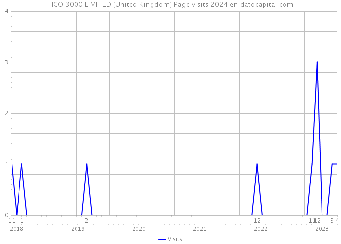 HCO 3000 LIMITED (United Kingdom) Page visits 2024 