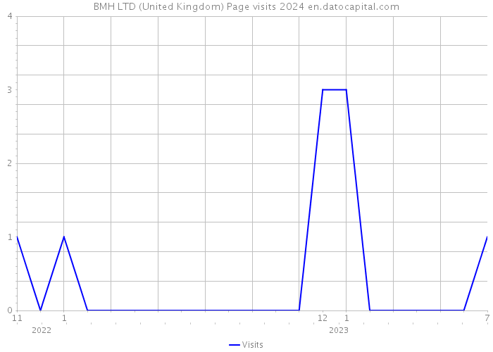 BMH LTD (United Kingdom) Page visits 2024 