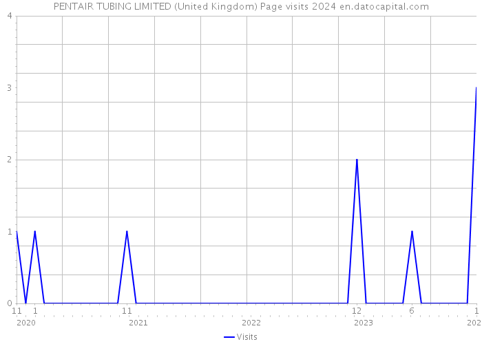 PENTAIR TUBING LIMITED (United Kingdom) Page visits 2024 