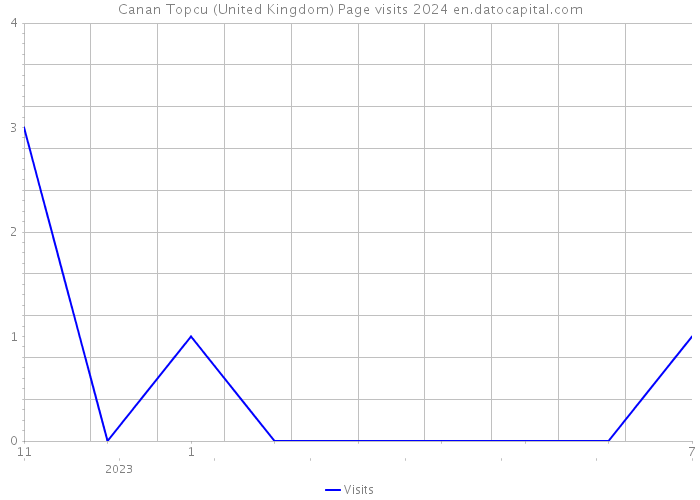 Canan Topcu (United Kingdom) Page visits 2024 