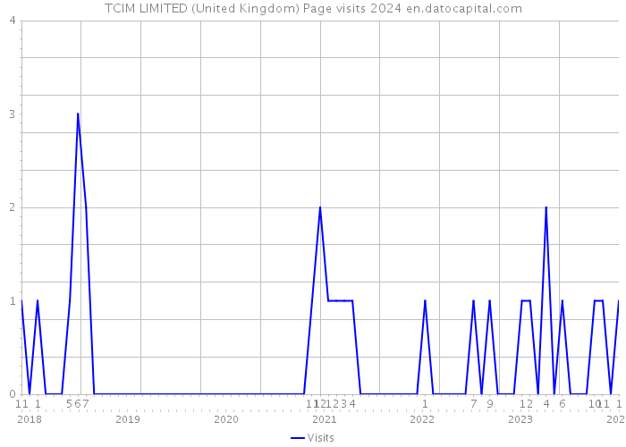 TCIM LIMITED (United Kingdom) Page visits 2024 