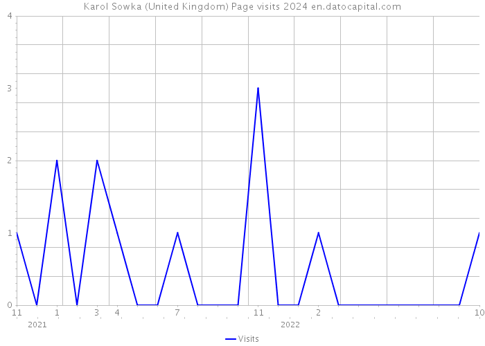 Karol Sowka (United Kingdom) Page visits 2024 