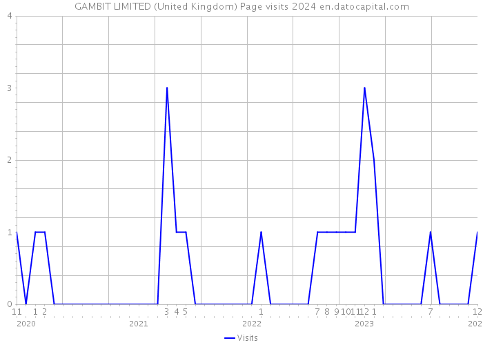 GAMBIT LIMITED (United Kingdom) Page visits 2024 
