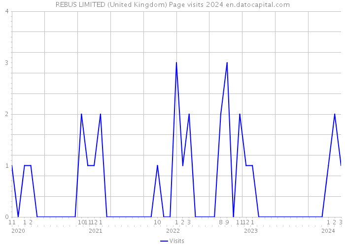 REBUS LIMITED (United Kingdom) Page visits 2024 
