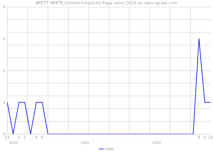 BRETT WHITE (United Kingdom) Page visits 2024 