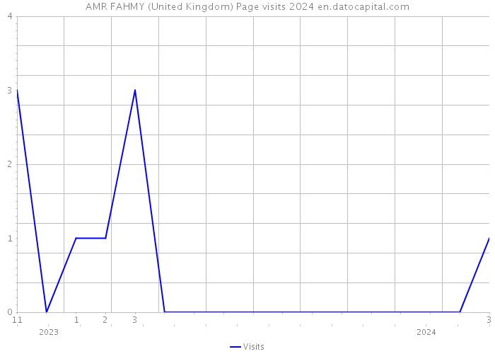 AMR FAHMY (United Kingdom) Page visits 2024 