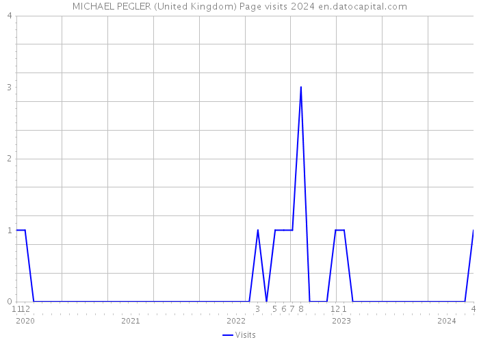 MICHAEL PEGLER (United Kingdom) Page visits 2024 