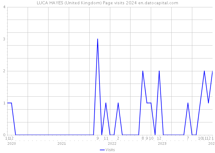 LUCA HAYES (United Kingdom) Page visits 2024 