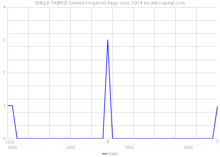 SHILLA TABRIZI (United Kingdom) Page visits 2024 