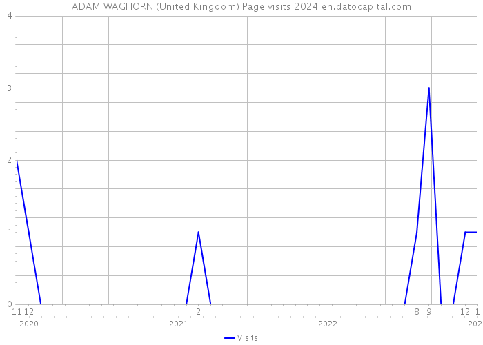 ADAM WAGHORN (United Kingdom) Page visits 2024 