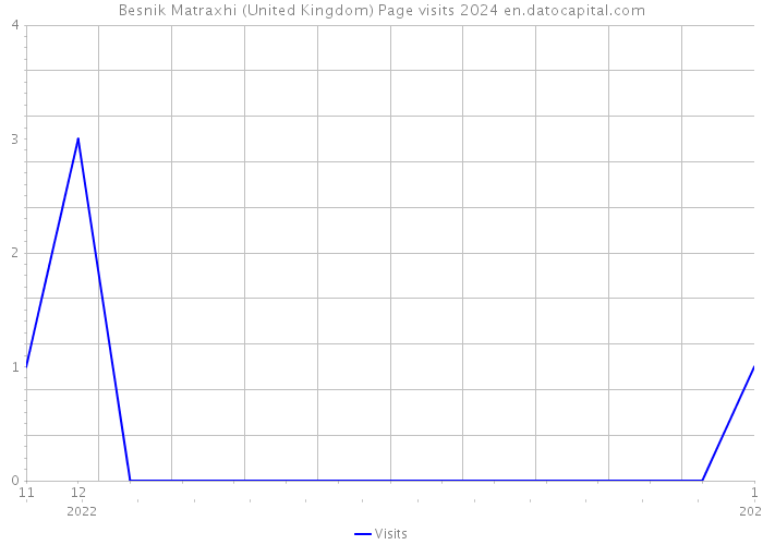 Besnik Matraxhi (United Kingdom) Page visits 2024 