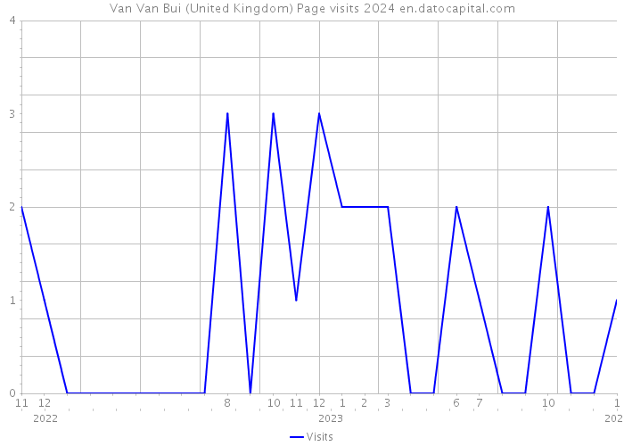 Van Van Bui (United Kingdom) Page visits 2024 
