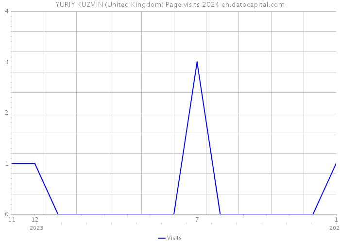 YURIY KUZMIN (United Kingdom) Page visits 2024 