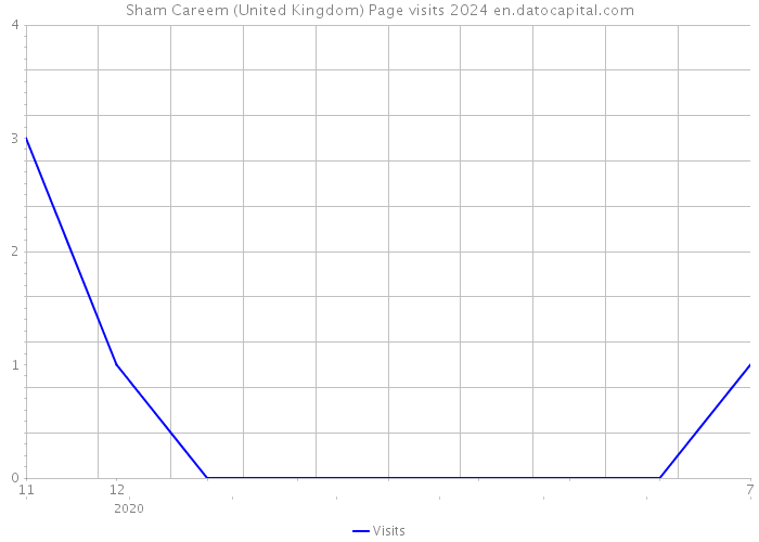 Sham Careem (United Kingdom) Page visits 2024 
