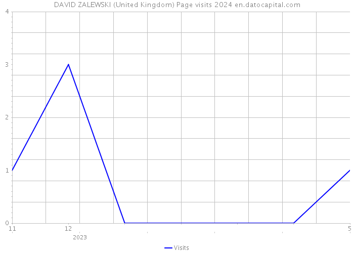 DAVID ZALEWSKI (United Kingdom) Page visits 2024 