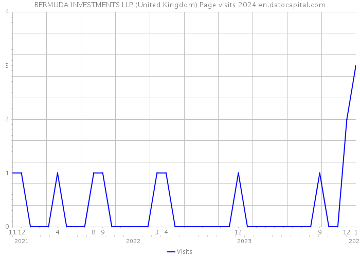 BERMUDA INVESTMENTS LLP (United Kingdom) Page visits 2024 