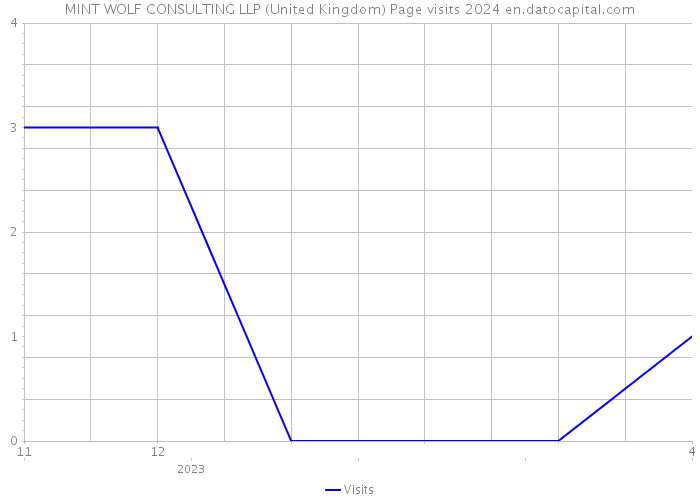 MINT WOLF CONSULTING LLP (United Kingdom) Page visits 2024 