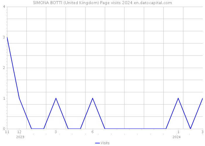 SIMONA BOTTI (United Kingdom) Page visits 2024 