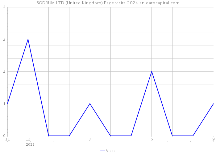 BODRUM LTD (United Kingdom) Page visits 2024 