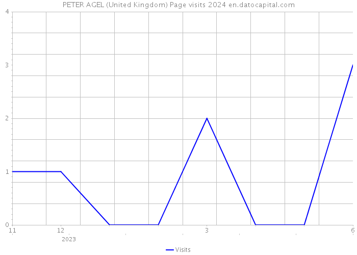 PETER AGEL (United Kingdom) Page visits 2024 